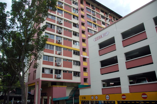 Blk 259 Bukit Panjang New Town (Bukit Panjang), HDB 5 Rooms #219462